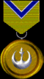 Commanding Officer's Award